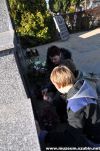  Znicze zapłoneły na cmentarzu w Rynarzewie